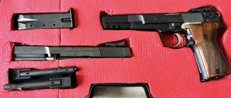 Se ofrece una magnífica pistola Walther P88 Champion  cal 9mm de 6” cañón poligonal, dos cargadores  de 00