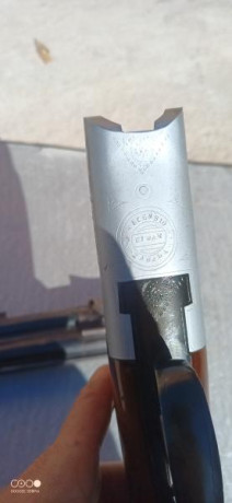 Por falta de uso vendo está escopeta Superpuesta calibre 12 de Asencio Zabala.
Cañón de 71cm, 1 y 3*, 11