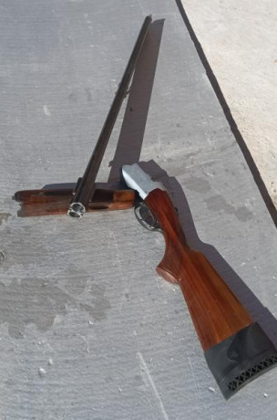 Por falta de uso vendo está escopeta Superpuesta calibre 12 de Asencio Zabala.
Cañón de 71cm, 1 y 3*, 10