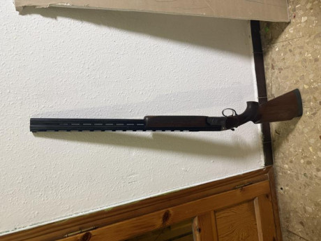 Pongo en venta una escopeta de foso marca Eduard Kettner perfecta de ajustes y en muy buen estado estético.

Características:

* 01