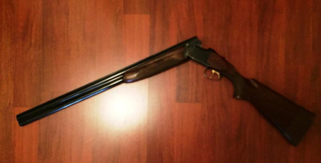 Hola estoy buscando una superpuesta Sporting de 81 cm en muy buen estado  ! Gracias mi tel es 605120278 11