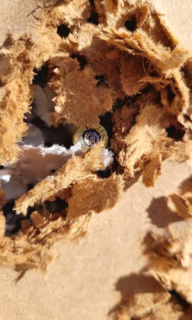 Soy novato en esto y estoy planteándome comprarme una carabina. Mi idea seria tirar a latas a 100-150m. 41