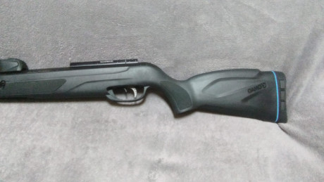 VENDIDA esta carabina repetidora Gamo Quicker.

 gamo10.jpg  gamo2.jpg  gamo3.jpg  21