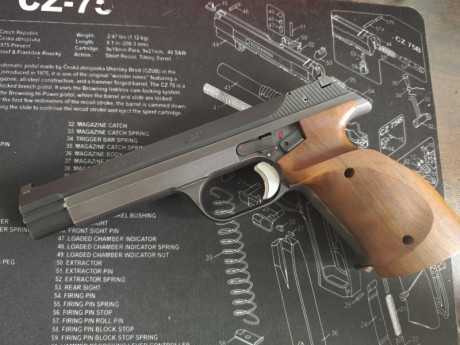Se vende pistola Sig Hämmerli P240 en calibre 38WC. Está en muy buen estado tanto estético como funcional.
Guiada 00