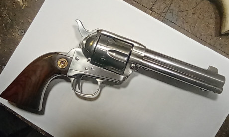 Revolver en 5 pulgadas de acero inoxidable y calibre 45LC.
Guiado en F.
Dos juegos de cachas. Una en cuerna 00