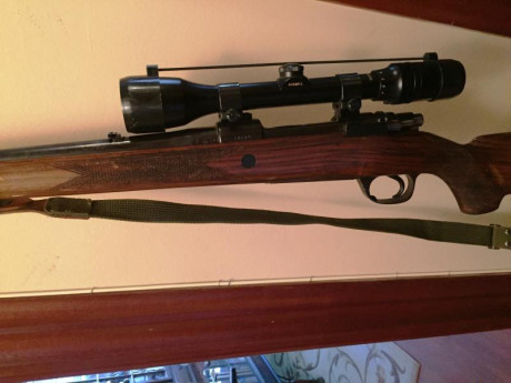 Hola a todos compañeros,
Vendo un rifle Santa Barbara Modelo De Luxe calibre 243. Este rifle era de mi 01