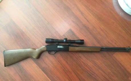 Hola a todos compañeros,
Vendo un rifle Winchester Modelo 190 calibre 22 fabricado en USA. Este rifle 00