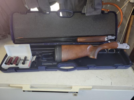 Vendo escopeta superpuesta Beretta Silver Pigeon I HP Sporting en calibre 20.76 con cañon de 76cm y 5 01