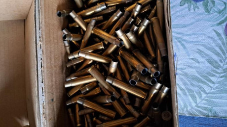 174 vainaa del calibre 303 britosh de la marca pmp sudsfricana ,un solo disparo.
64 vainas Norma 1 disparo
80 02