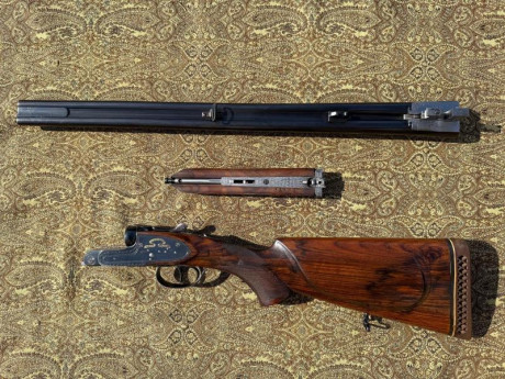 En venta rifle express Sarasqueta.
Precio 3200€
Teléfono 687970556. 12