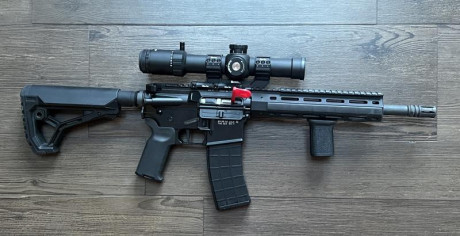 Una consulta camaradas en armas, tengo el rifle antes mencionado pero el detalles es que aún teniendo 110