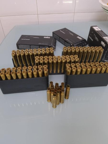 Vainas lapua  100u 1 disparo a 0'50 unidad
Vainas lapua 100u 1 disparo y recocidas 0'50 unidad
Vainas 02