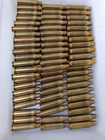 Vainas lapua  100u 1 disparo a 0'50 unidad
Vainas lapua 100u 1 disparo y recocidas 0'50 unidad
Vainas 00