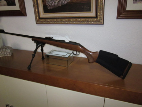Buenas.
Pongo a la venta una carabina Cz 452 de cerrojo con extras.Precio 460 euros gastos compartidos
Mando 32