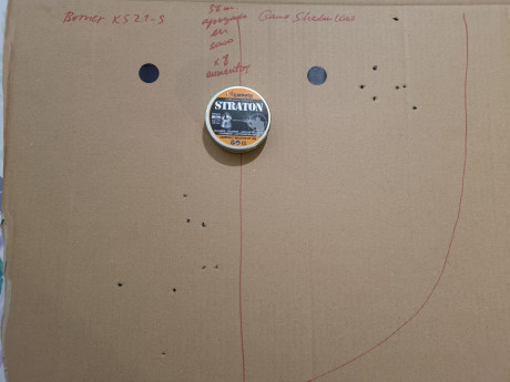 Buenas noches.

A finales del año pasado me hice con estas dos carabinas, de precio similar (la Gamo me 170