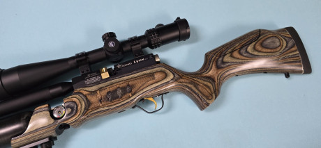 he visto un vídeo en youtube de la cometa lynx 300, y la ponen como una maravilla incluso mejor que muchas 52