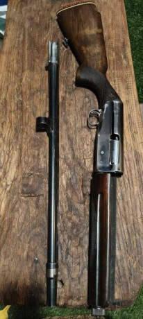 Buenas todos, después de varios años con la afición un poco olvidada mi hija se ha aficionado al tiro 00