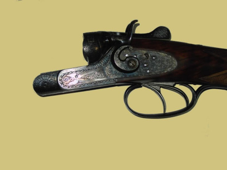 Busco paralela de perrillos, estoy dispuesto a ofrecer un buen dinero dependiendo de la marca, gama, estado 72