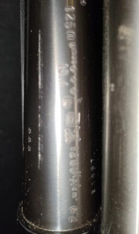 Buenas noches, debido a que desde hace 2 años no he salido a cazar y no tengo perspectivas de volver a 81