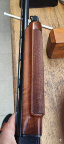 Vendo escopeta Saut Beretta A 303, arma impecable, no cazo, y nunca se ha cazado con ella, usada 2 o 3 12