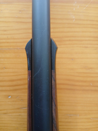 Buenos días a todos:

Para los que tenéis este rifle os comento el problema que tengo. 

En teoría el 00