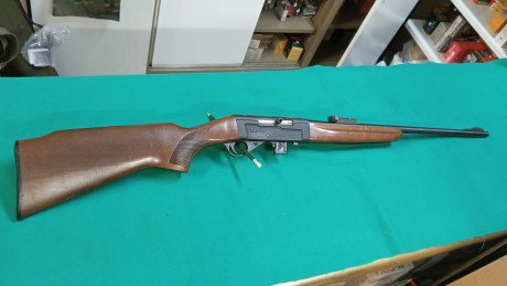 Pongo anuncio a un amigo, está en Segovia, perfecto estado, carabina desmontable, 200€ 01