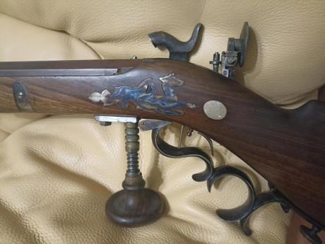 VENDO RIFLE marca Pedersoli mod. Waatländer  Cal. 45. en muy buen estado. 

Ideal para modalidad Vetterli.
 01