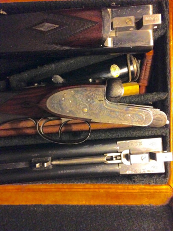 La propiedad me informa que su 212 aceptaria un nuevo custodio pues declina continuar campeandola. La 22