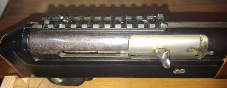 Escopeta semiautomática Benelli 121 SL cal. 12 / 70.
Cañón de 60 centimetros, con polichoques exteriores, 10