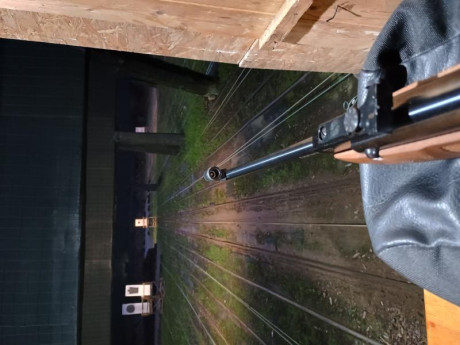 Buenas 

Me está gustando tirar con el diopter. He intentado pasar el de la FWB 300 s a la HW 50 pero 90