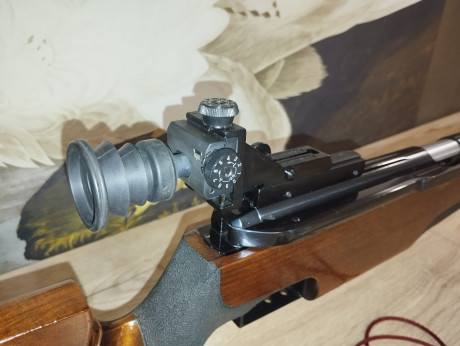 Buenas noches,  
Feinwerkbau 300 S  Universal zurda , la carabina se encuentra en muy buen estado con 100