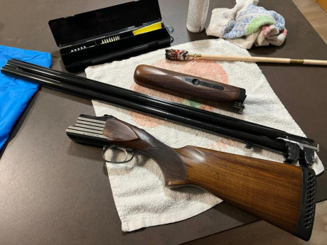 Hola buenas, un amigo vende su escopeta de plato. Se encuentra en Peralta (Navarra), pero se envía si 20