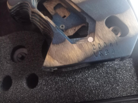 Por cambio de modalidad vendo mi Morini cm200 con la placa electrónica para entrenar con el TF (Repich)lleva 20