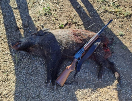 Hola amigos :-)
La verdad es que, para empezar, no estoy seguro de que no exista ya un hilo para este 80