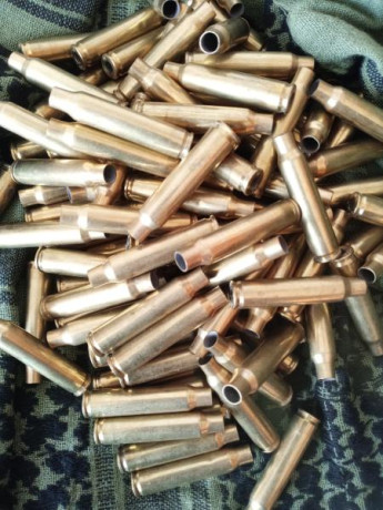 Vendo 100 vainas 223 REM de 1 disparo

25€ envio incluido peninsula 00