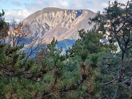 Ya sabéis que me gusta escribir las cacerías, aquí tenéis mi ultima aventura por si os apetece leerla.


 111