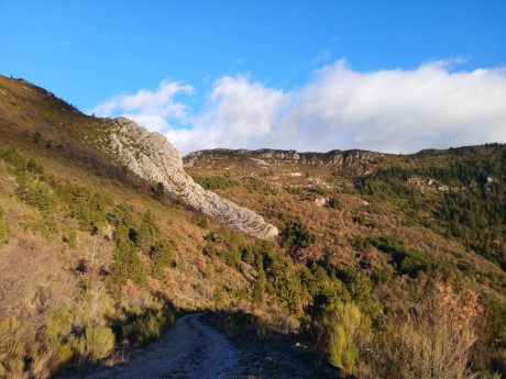 Ya sabéis que me gusta escribir las cacerías, aquí tenéis mi ultima aventura por si os apetece leerla.


 110