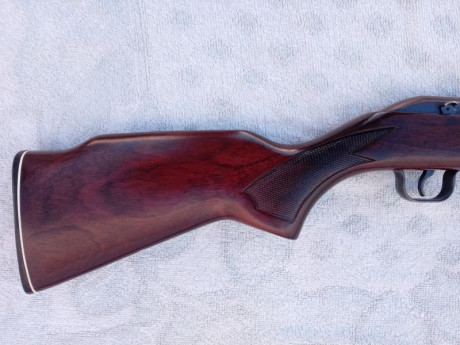 .Vendo carabina del 22 lr, marca Lakefield model 64 b ahora es marca Salvaje 64 , muy cuidada cargador 01