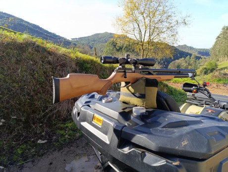 Hoy me he comprado una T-rex 4,5 madera. Todavía no se ven casi de madera, alguna por aquí? Tengo que 131