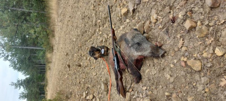 Se que las ultimas series de estos rifles fueron el modelo Safari. Tambien se que los ultimos llevaban 40