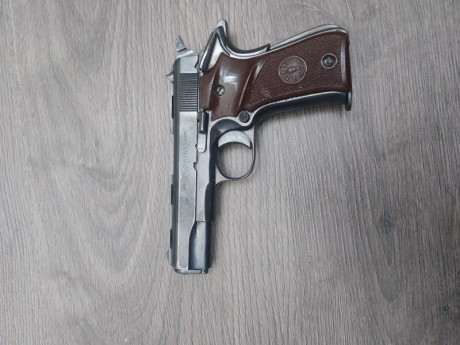 LLama modelo XV especial en calibre 22Lr.

Esta pistola es una réplica a las 1911 pero en tamaño reducido 02