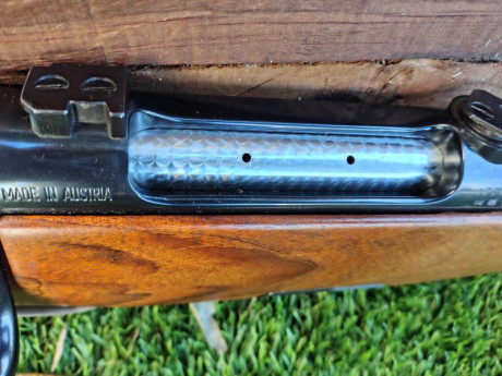  Buenas tardes

Pongo en venta un Steyr Mannlicher Luxus Stutzen en calibre 270W.

* Cañón de 20"
* 11