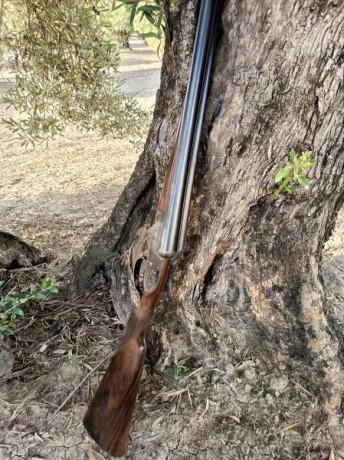 Buenas noches 
Busco paralela fina de caza, de gama alta, en muy buen estado, de marcas nacionales de 10