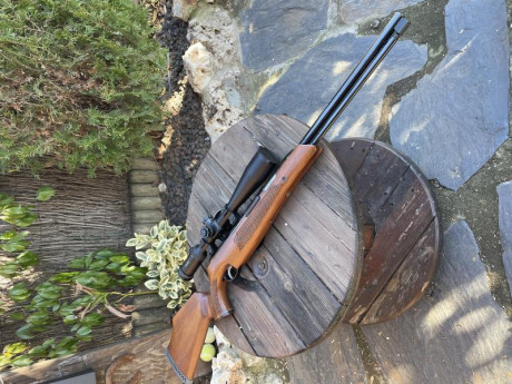 Vendo carabina Air-Arms MKIII 4.5 completamente nueva usada una sola vez no mas de 50 disparos.
Tl.669030936 02