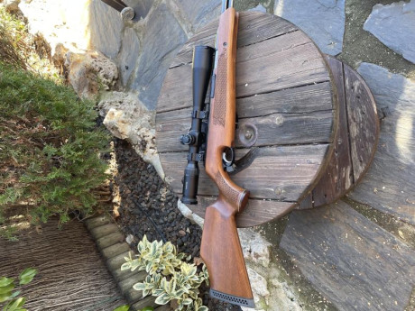 Vendo carabina AirArms TX200 madera de haya completamente nueva usada un dia,no ha tirado mas de 100 disparos.
Tl. 02