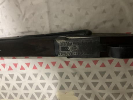 Hola a todos:

Pues veréis,tengo esta escopeta que la compró mi padre en paz descanse en los años 70,
Me 00