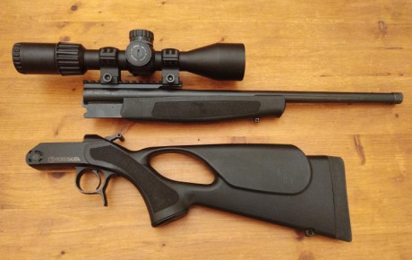 Monotiro desmontable Bergara BA13 Take Down 308 WIN
Culata thumbhole.
Cañon de 51cm. Con rosca (5/8x24)
Visor 11