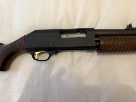 Hola vendo mi fabarm sdass wood 12/76 en muy buen estado . Está en Asturias. 380 euros portes aparte. 01