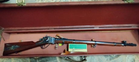 Vendo rifle Sharp de Pedersoli, muy poco uso, practicamente nuevo. Calibre 45/70. Dos turquesas (100 mt. 01