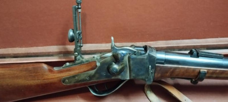 Vendo rifle Sharp de Pedersoli, muy poco uso, practicamente nuevo. Calibre 45/70. Dos turquesas (100 mt. 22